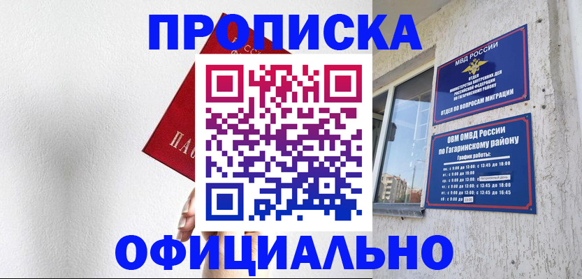 найти адрес прописки в Звенигово